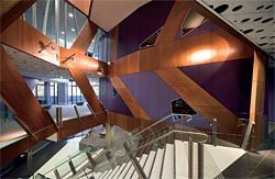 “The Tree of Knowledge”, a series of trapezoidal timber panels, spirals up the primary vertical circulation space.