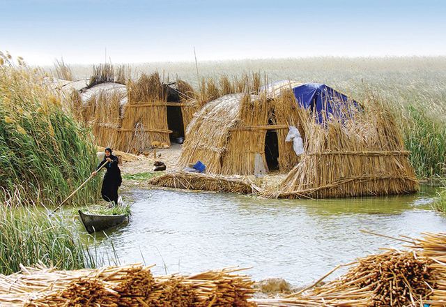 The distinctive forms of the mudhif houses of the Ma’dan people of southern Iraq, constructed from qasab reed.