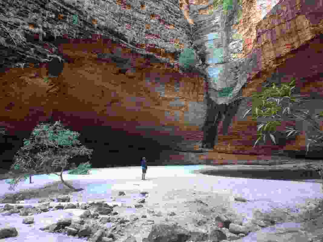 Contemplative pool, Cathedral Gorge, Purnululu National Park, WA.