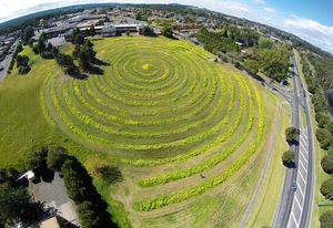 The largest and most “designed” of the 2014 plantings took the form of a 2.4-kilometre-long spiral on the site of the former Moe public hospital.