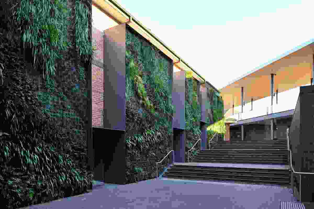 Landscape winner: The Mabel Fidler Building by BVN Architecture.
