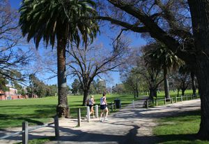 Princes Park Carlton North.