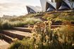 At Hassell, Jon Hazelwood uses Midjourney to generate images that demonstrate the quantum of biodiverse nature that is required for nature-positive cities.