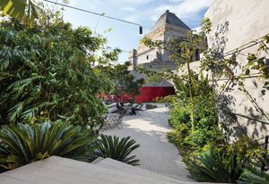 The Terrace Courtyard is intended to be jungly, overgrown and not maintained too strongly.