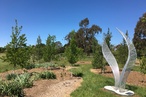 Five architects to compete for design of visitor centre for regional NSW botanic garden
