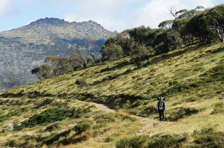 The Bundian Way | Landscape Australia