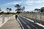 Zoetrope Bridge and terrain generator
