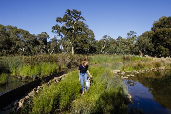 Oaklands Park & Wetland by TCL (Taylor Cullity Lethlean)