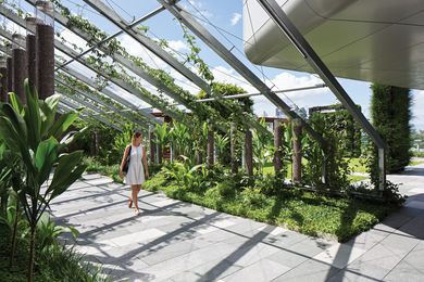 Lush, tropical vegetation is fast enveloping the steel arbour in the Secret Garden.