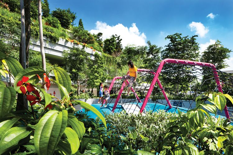 Creating stronger communities: Kampung Admiralty | ArchitectureAu