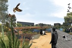 Award of Excellence for Land Management