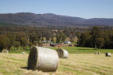 The Narbethong Community Hall sits close to a bush reserve.