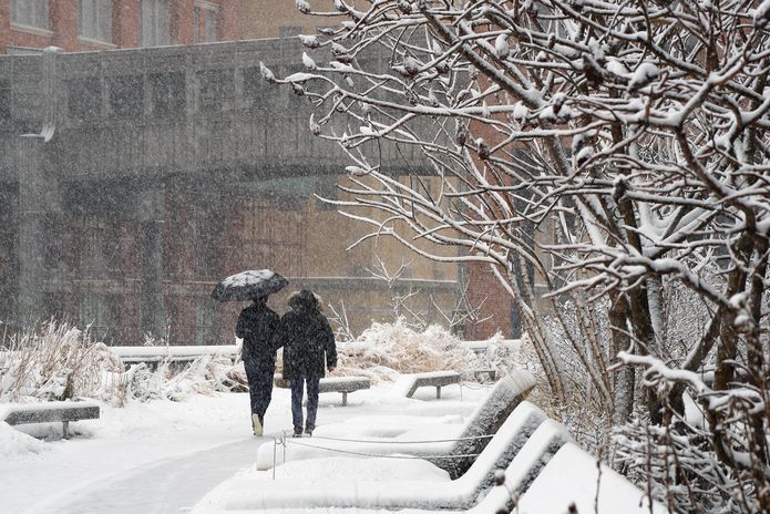Due to their elevated nature, the High Line gardens must endure tough conditions, freezing more quickly and heating up more rapidly than other New York gardens.