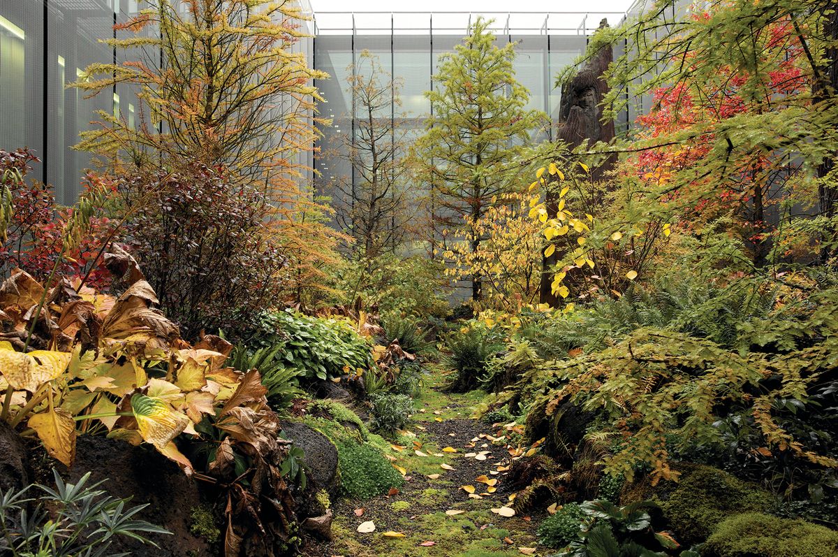 Models without numbers: The landscapes of Günther Vogt