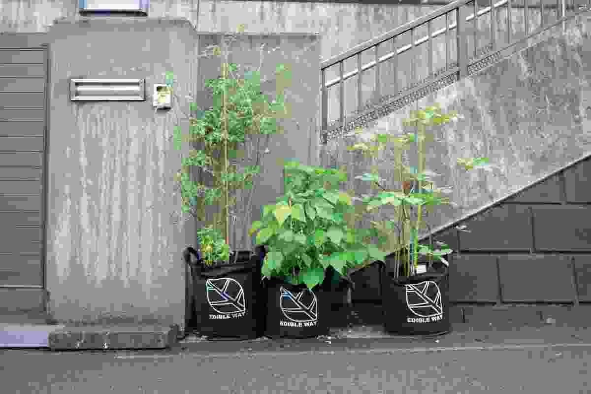 The Edible Way project in Matsudo, Japan uses felt planters to conveniently introduce urban food production to a dense residential neighbourhood.