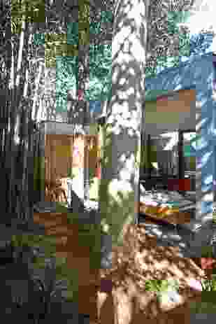 Virtual disengagement of the new works takes advantage of unusual site dimensions and established trees.