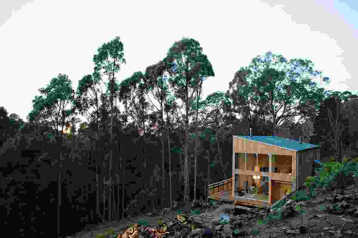 Fern Tree House: Perched on Mt Wellington on a wooded site.
