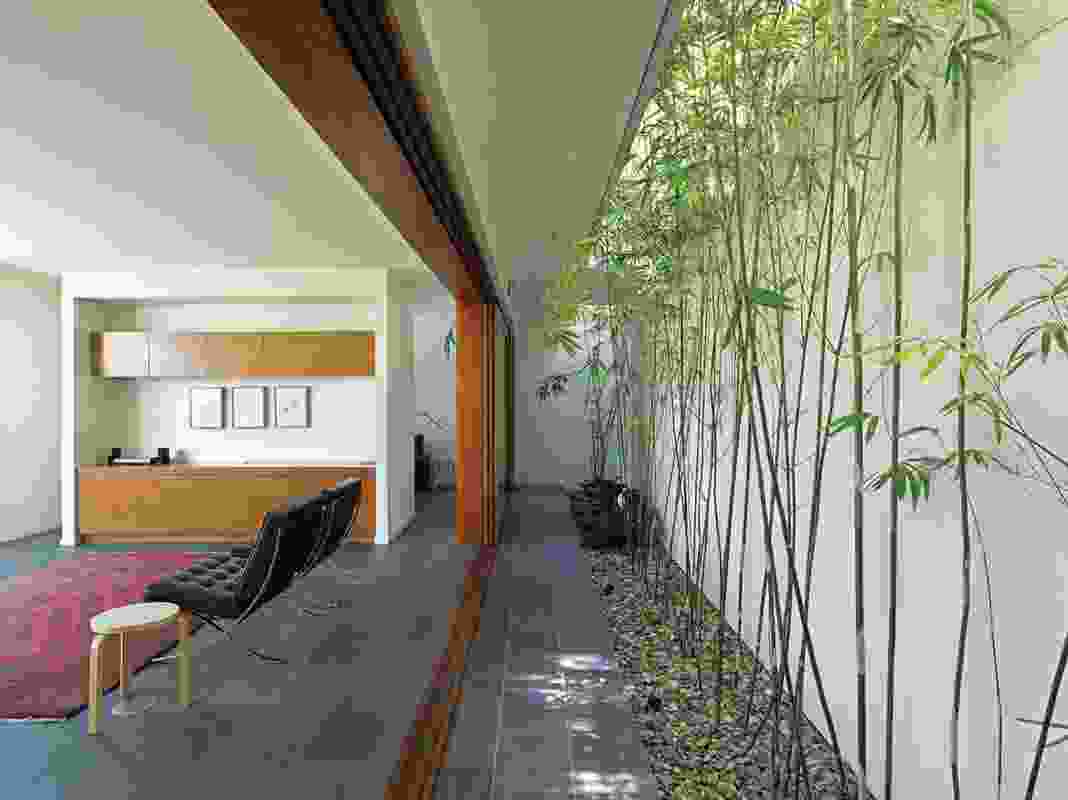 A bamboo-planted breezeway beside the living room.