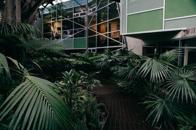 System Garden Rainforest Walk by SBLA Studio