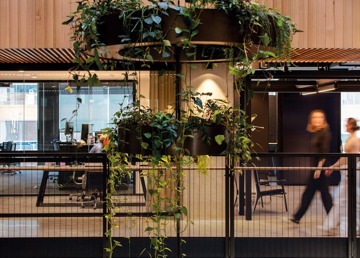 At Publicis Groupe in Sydney, the fitout includes mixed-mode winter gardens and a central atrium and stairs connecting staff.