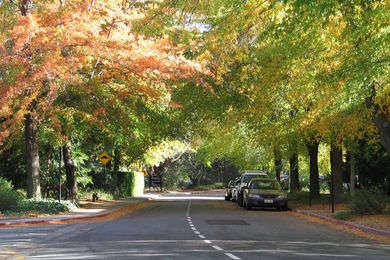 Linnaeus Way, at the Australian National University (ANU), Canberra