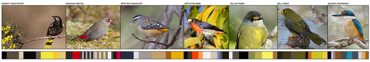 Lymesmith's colour scheme for the facade references local bird life.