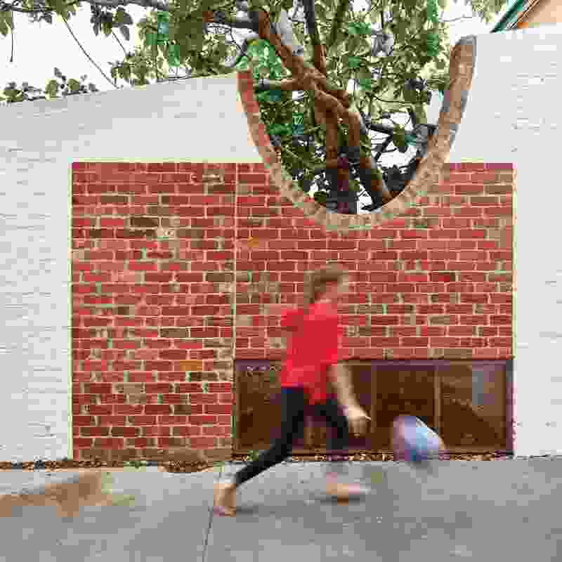 A circular cut-out in the brick boundary wall to the laneway makes way for a fig tree.