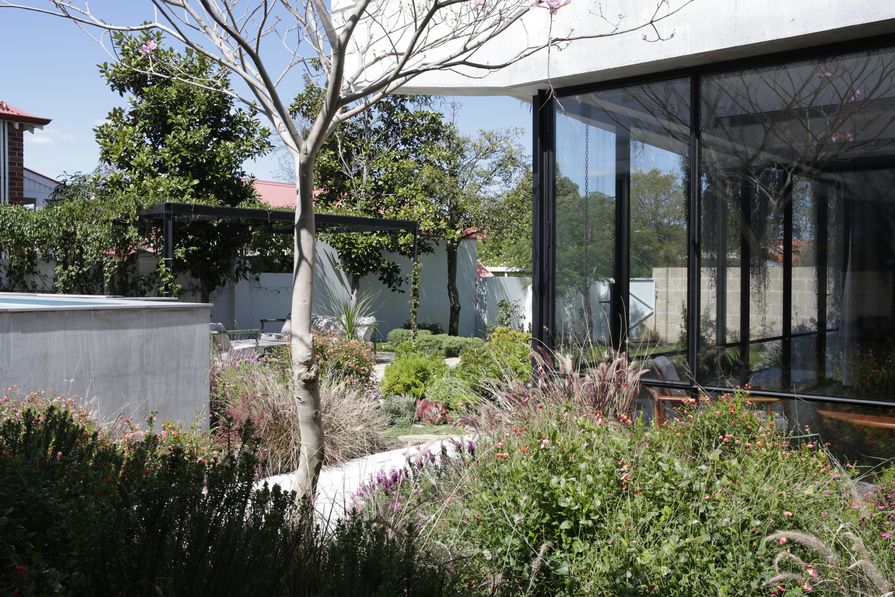 Reed House Landscape Australia