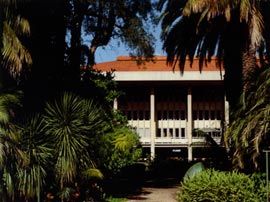 Reid
Library seen through the campus’s Tropical
Grove, by Cameron, Chisholm and Nichol in
association with Gordon Stephenson.