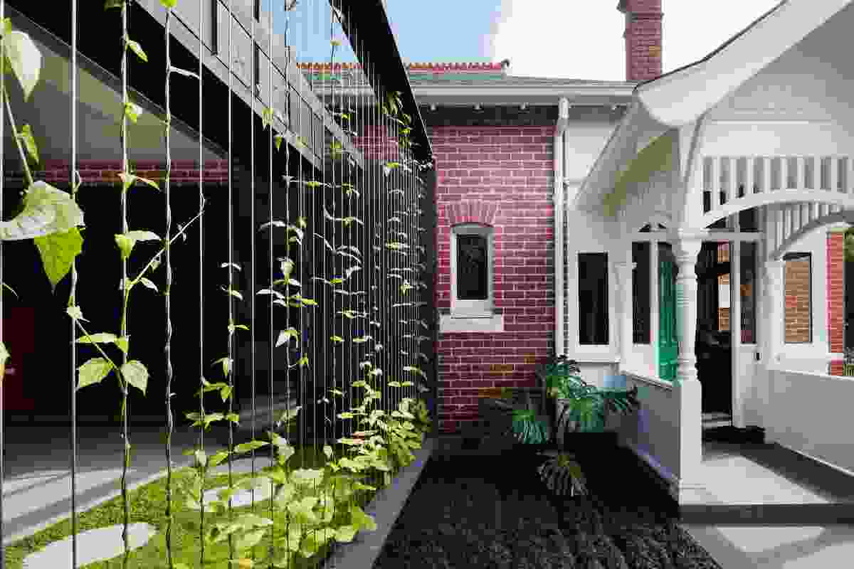 Shadow House - Shroud 'Breezeway' by Matt Gibson Architecture + Design and Ben Scott Garden Design.
