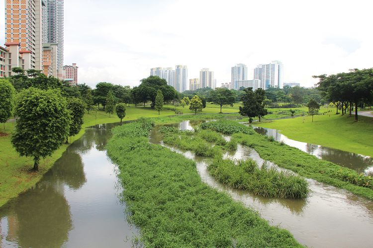 Making space for wildness in Australian cities | Landscape Australia