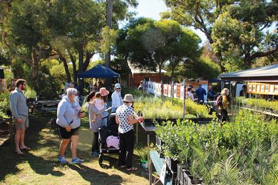 2022 APACE Open Day. Initially a sustainable living demonstration site, APACE now promotes ecological regeneration through a community-focused approach.