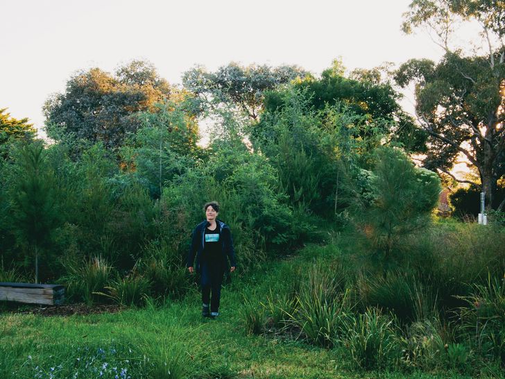 Led by landscape architect and Climate Factory founder Edwina Robinson, a Canberra community has begun creating a “micro-forest,” demonstrating that no piece of land is too small to increase biodiversity.