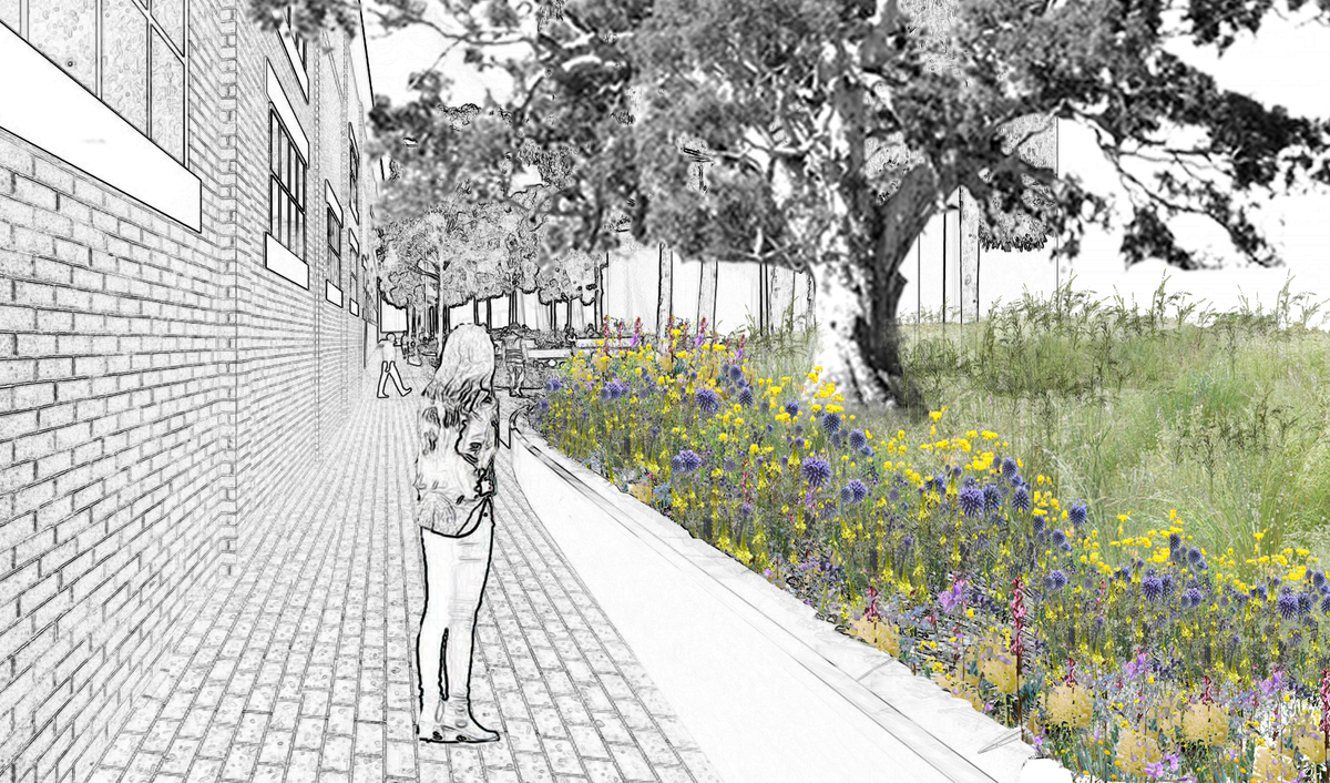 The Dodds Street Linear Park is an opportunity to introduce a new green zone into the densely populated inner-city precinct.