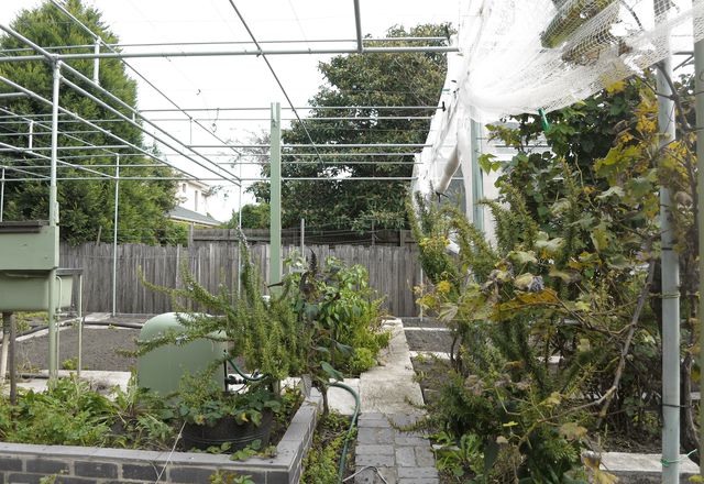 An extensive pergola-like system of poles with netting over the cultivated beds keeps possums and birds at bay. A free-standing sink in the garden is used to wash vegetables.