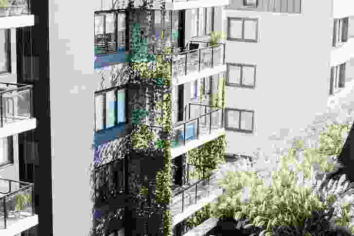Vines clamber five storeys up the building’s facade, softening its mass and providing seasonal microclimactic control.