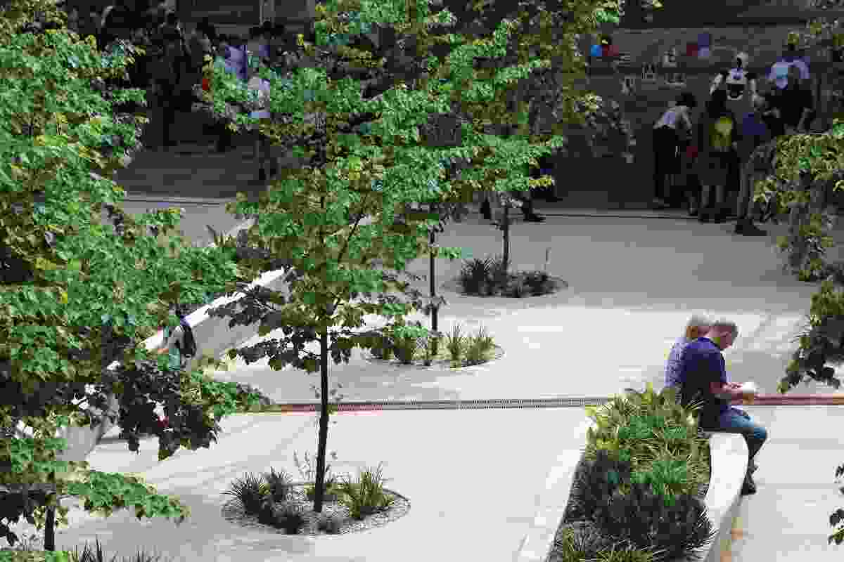 Mature trees within the central plaza provide leafy shade, serving as a space for meetings and refreshments, adjacent to a cafe.
