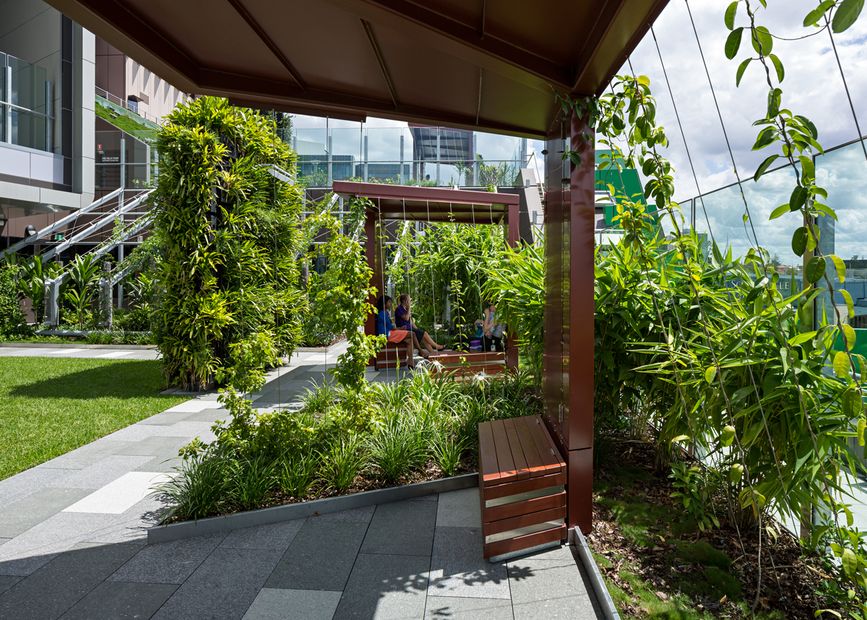 Healing gardens: Hospital design using nature to heal and soothe ...