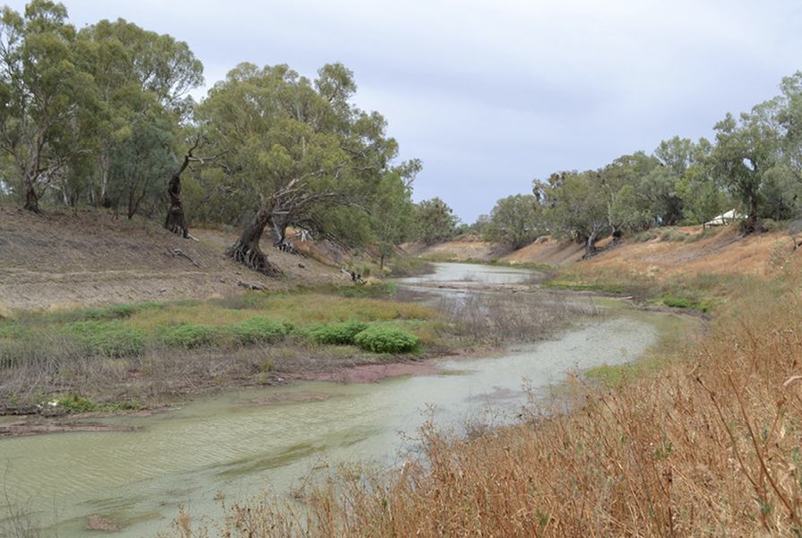 The Darling River at Wilcannia, New South Wales in 2014. The idea of landscape, as separated and separable, has contributed to the commodification of the environment with consequences showing in the particularly dire state of the Darling River.