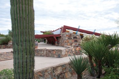 The designed plantings at Taliesin West are not only drought-tolerant, but largely drought-proof, meaning they can survive on almost no water.