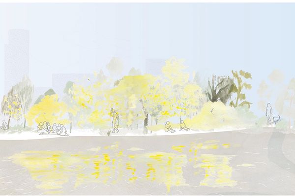 As part of the Designing with Country: Resilience Studio, student Virginia Overell proposed a muyan (silver wattle) festival as a “cue-to-care” for Country.