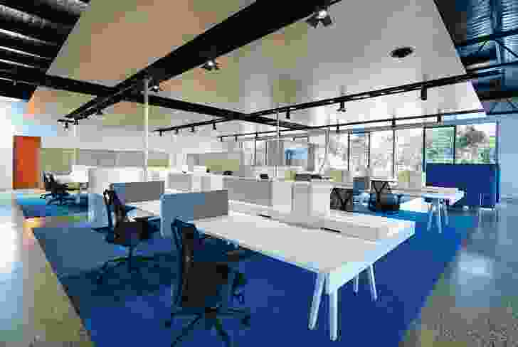 Brilliant blue carpet energizes the open-plan work area.