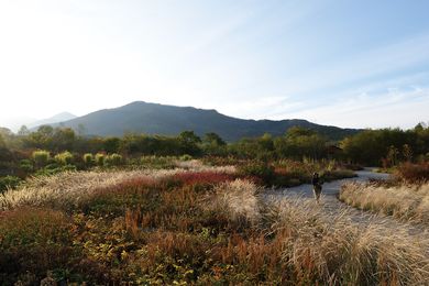 At the foothills of the mountains of Hokkaido, Tokachi Millennium Forest aims to coax the public out into the landscape.