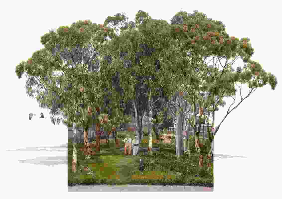 The empty block – a micro-forest on a residential block of land purchased by the government sustaining remnant trees from the block’s former life as well as additional large trees, mid- and understorey planting.