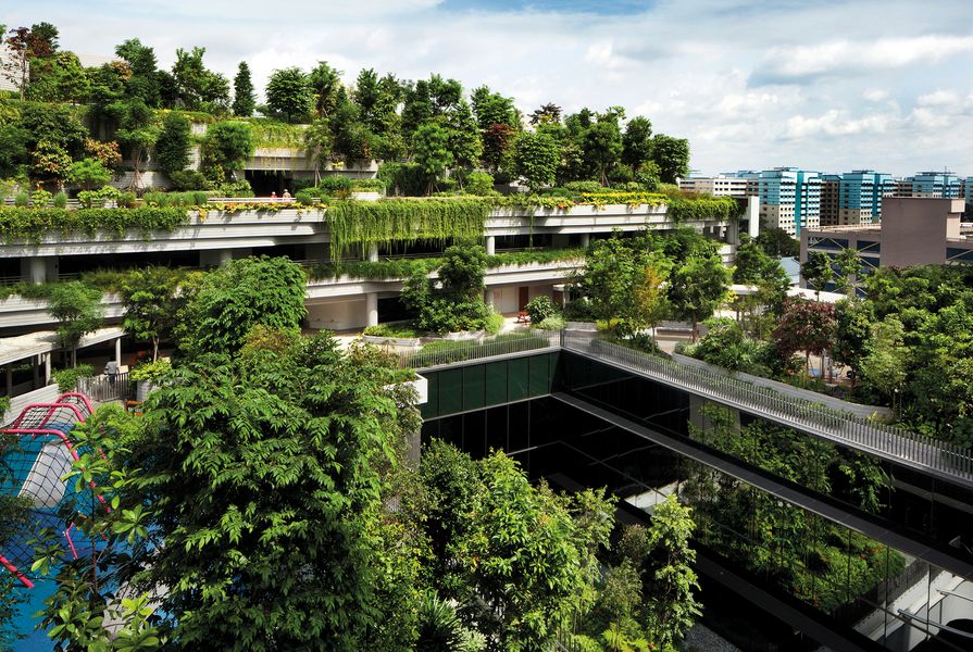 The planting scheme of the Kampung Admirality was designed by Ramboll Studio Dreiseitl. Plants overflow from each level, creating a community park for the 11 housing blocks.