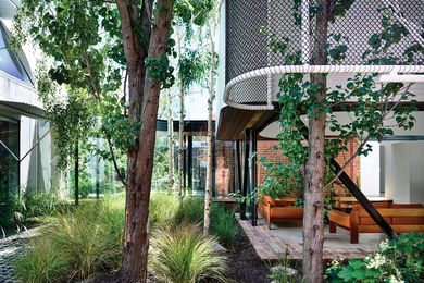 All of the existing silver birch and ornamental pear trees have been retained in the verdant garden that wraps around the new pavilion.