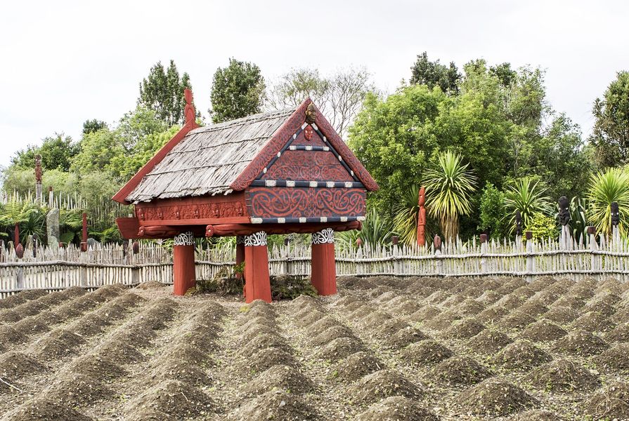 The Te Parapara garden at Hamilton Gardens is New Zealand's only traditional Maori productive garden. The garden showcases traditional practices, materials and ceremonies relating to food production and storage. 