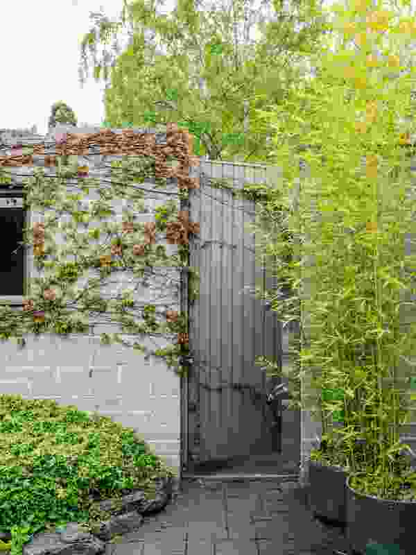 The concrete blockwork became the ideal canvas for creeping vines.