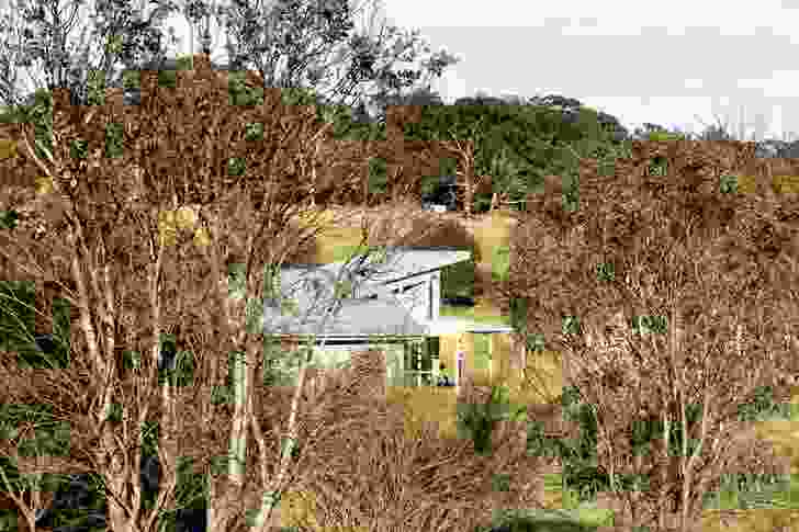 The house as seen through a shelter belt planting at the perimeter of the property.