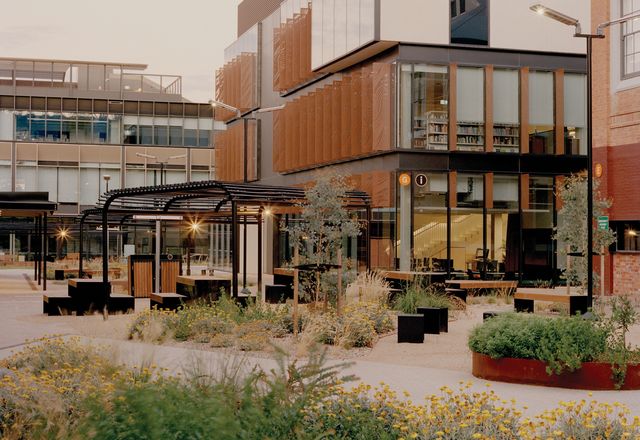 A series of connected gardens and courtyard spaces at the revitalized Bendigo TAFE foreground the endemic flora and fauna of the region.
